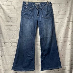 Hudson Aby Flare Wide Leg Jeans Size 29